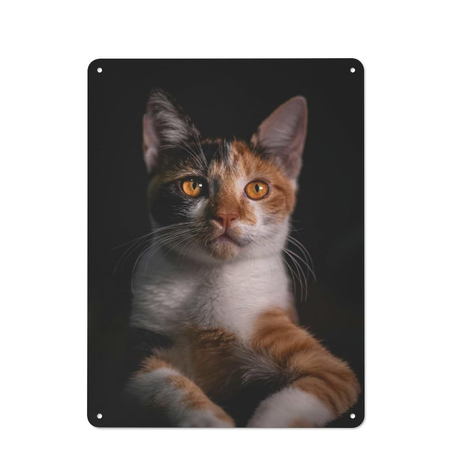 Junmoney Style-10 Tin Sign 40X30cm With Calico Cat Portrait For Workshop Wall, Rustic Decor, Suited To Workshop Decor Fans
