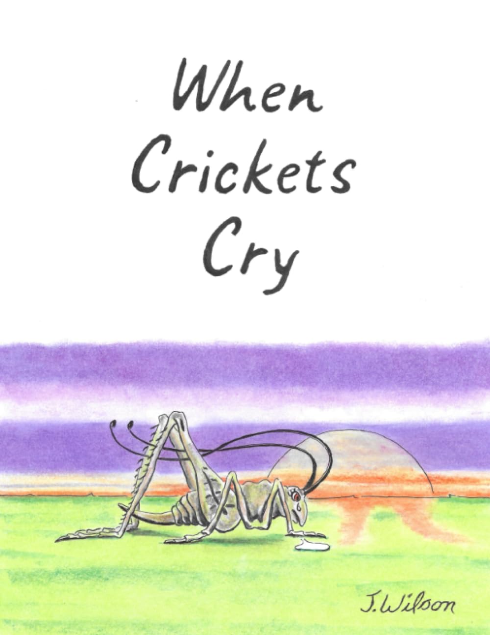 When Crickets Cry Wilson, Judy 9798387343704 Books