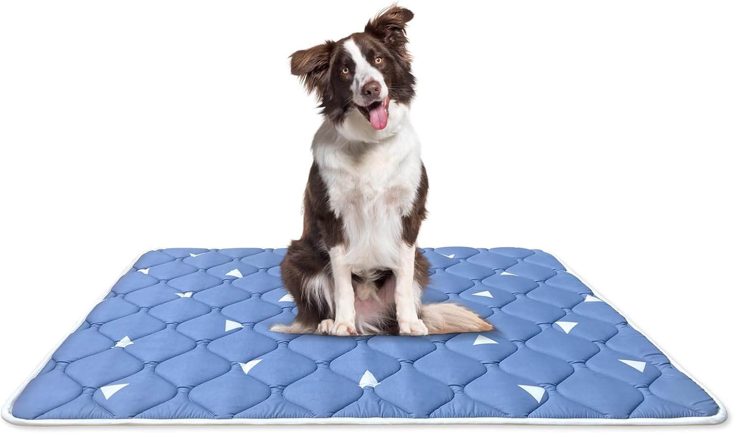 Dog Crate Mat (36" X 23"), Ultra Soft Dog Bed Mat for