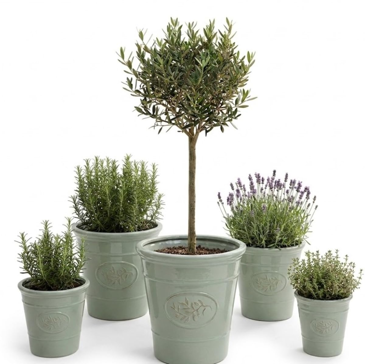 Garden Plant Pots Plastic Outdoor & Indoor Use, Heavy Duty, Frost Proof Small and Large, with Drainage Holes, Sage Green or Grey, 17cm, 23cm, 30cm, 40cm and 55cm (Sage Green, 30cm x 30cm 14 Litres)