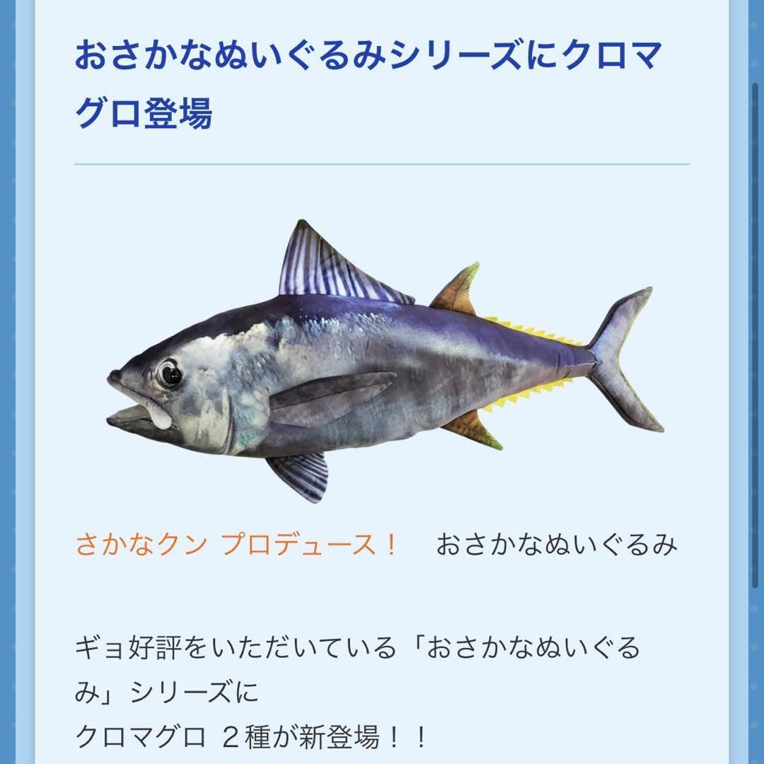 美品 さかなクン「あまびえ様」ジークレー 直筆サイン入り 日動画廊限定販売品 美品 さかなクン「あまびえ様」ジークレー 直筆サイン入り 日動