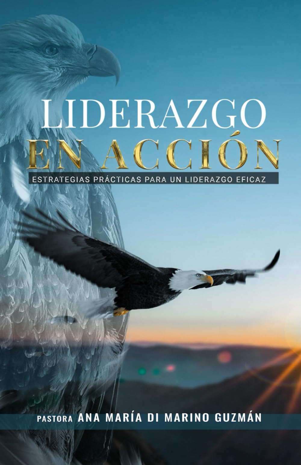 Liderazgo En Acción
