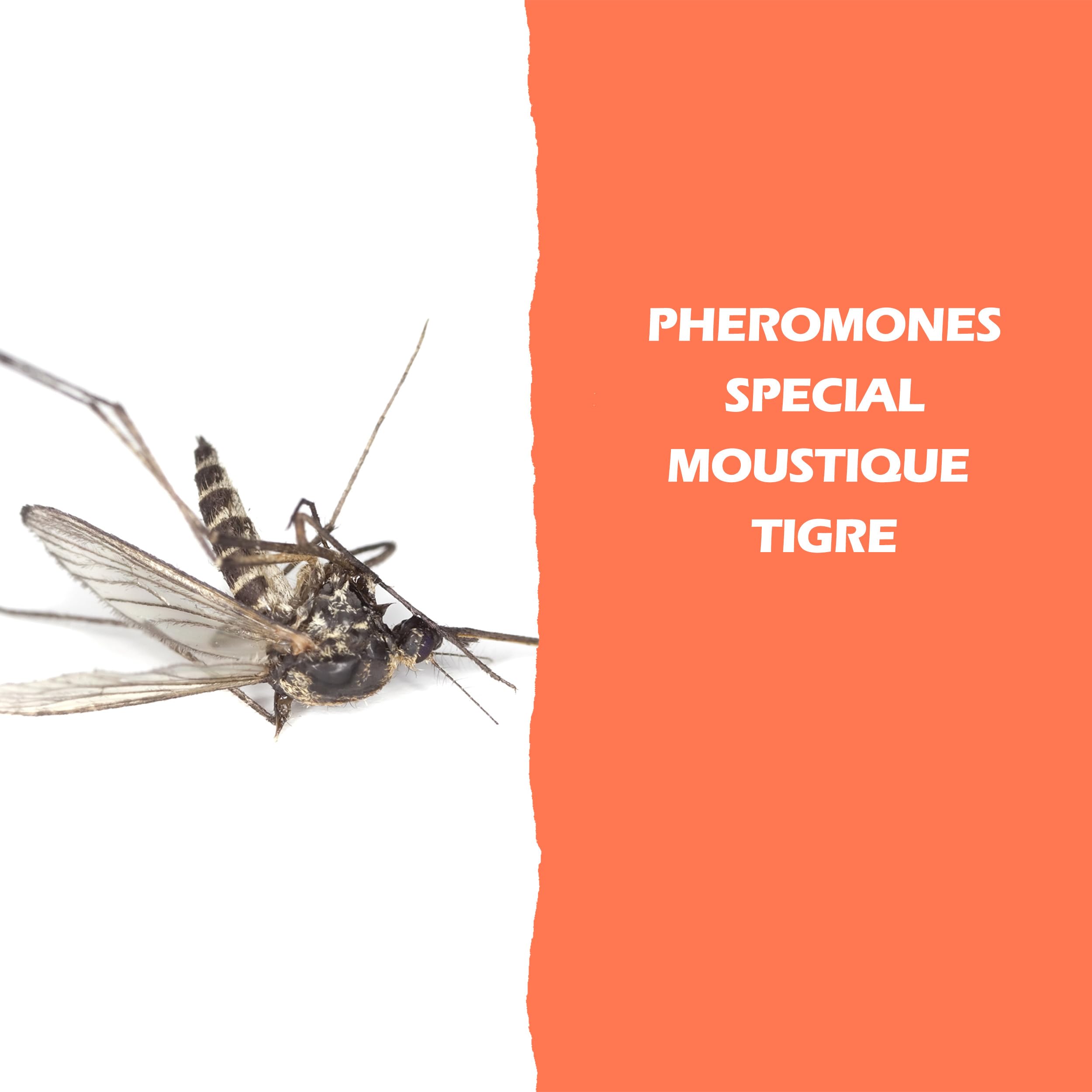 BLAM Appât du Tigre: 2X Attractif moustiques Tigres pour Pièges HBM Jours et Nuits, Biogents BG-Mosquitaire