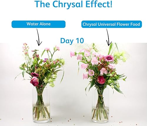 Miniatura 9 de Chrysal Paquetes de alimentos de flores transparentes, paquete individual para arreglos florales y ramos de flores, mezcla con 1 litro de agua,