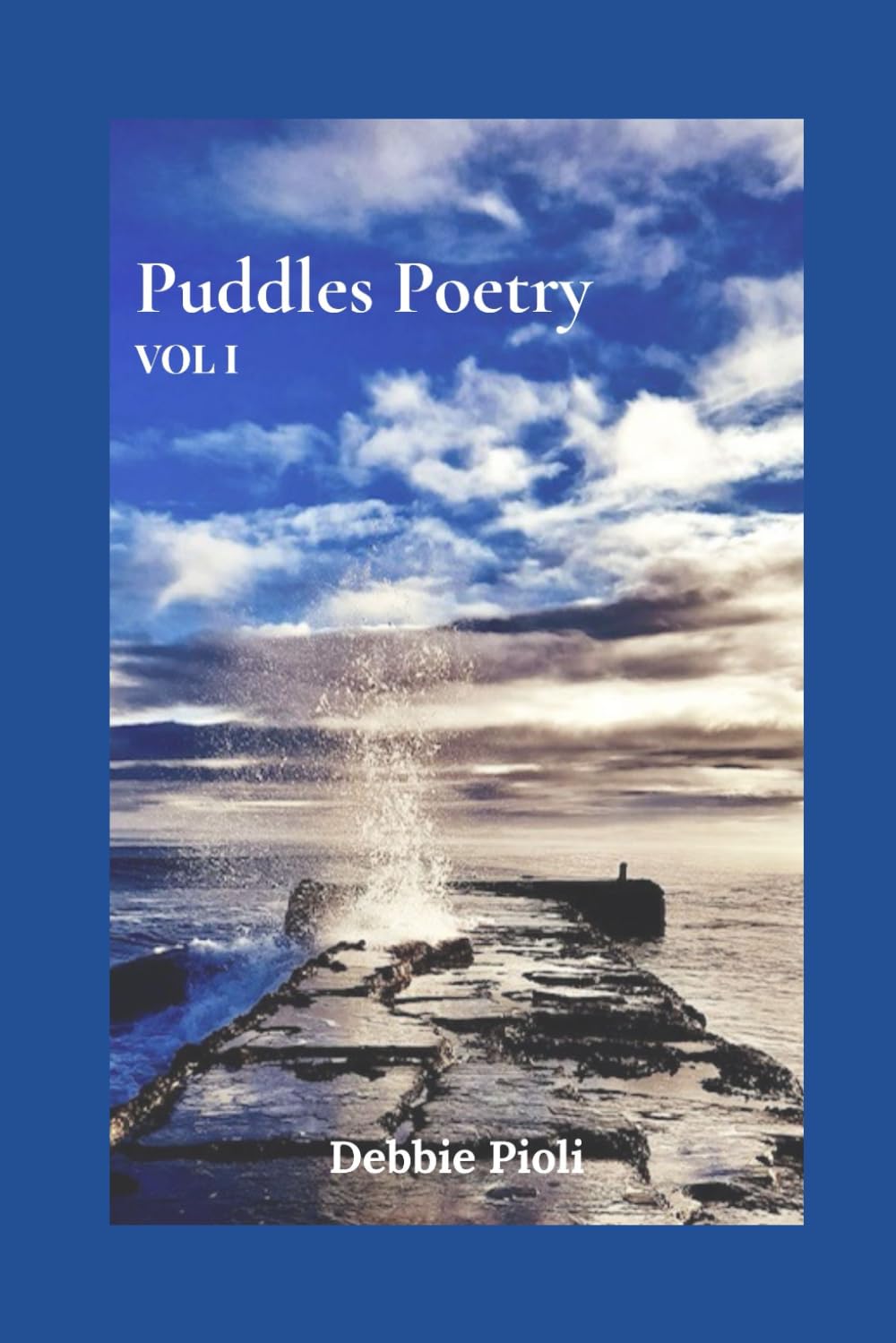 Puddle's Poetry: Volume I