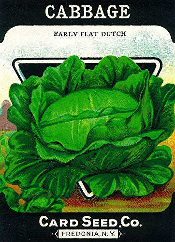 Cabbage Seed Packet (iPhone 7 Plus Cell Phone