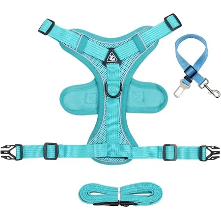 Amazon Dudu Home 犬ハーネス リード 小型犬 犬用シートベルト付き 可愛い ハーネス犬 リードセット 反射材付き 調節可能 M グリーン Dudu Home ハーネス 通販 Amazon Dudu Home 犬ハーネス リード 小型犬 犬用シートベルト付き 可愛い ハーネス犬 リードセット 反射材付き 調節可能 M グリーン Dudu Home ハーネス 通販