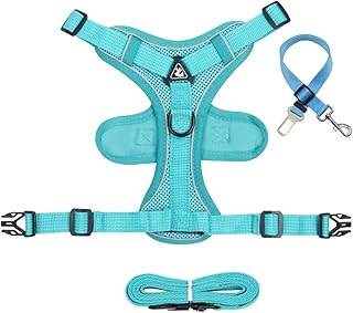 dudu@home 犬ハーネス リード 小型犬 犬用シートベルト付き 可愛い ハーネス犬 リードセット 反射材付き 調節可能 (L, グリーン)