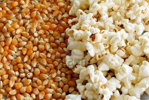 Miniatura 5 de Granos de palomitas de maíz orgánicos sin reventar, sin OMG, veganos crudos a granel (2 libras)