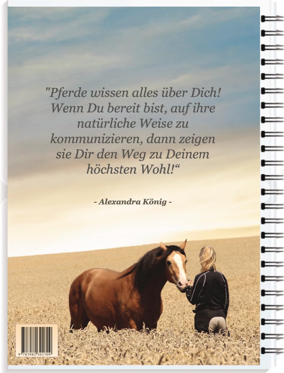 Pferdesprache - Pferdeumgang - Pferde verstehen - Kommunikation mit Pferden Arbeitsbuch "Einführung chi horsing" (inkl. 2 Std. Videomaterial)