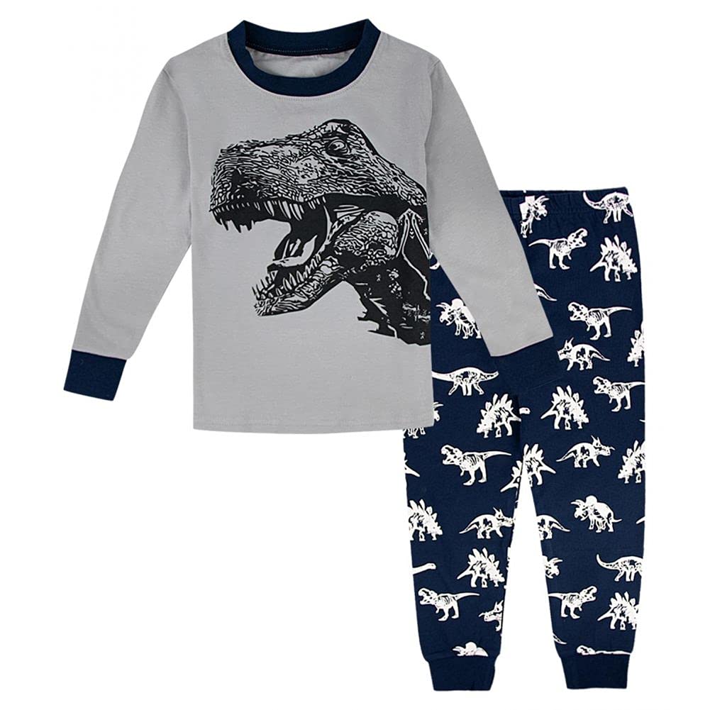 Hoseay Pigiama Ragazzi, Cotone Manica Lunga Bambini Maglietta e Pantaloni Pigiamas, Morbido 2 Pezzi Abbigliamento da Notte, Carino Blu Dinosauro Autunno Vestiti per Ragazzo 2-3 Anni