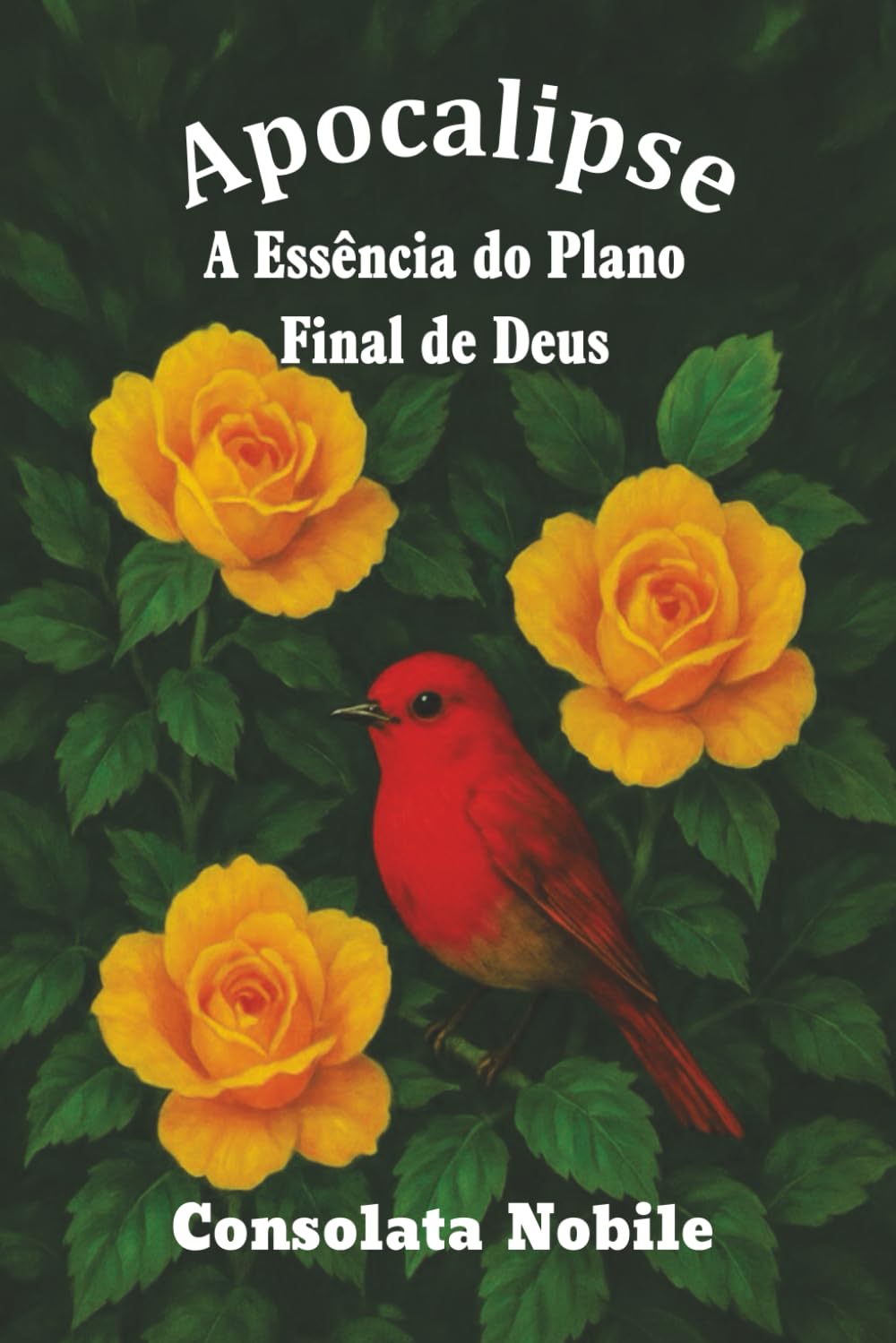 Apocalipse A Essência do Plano final de Deus
