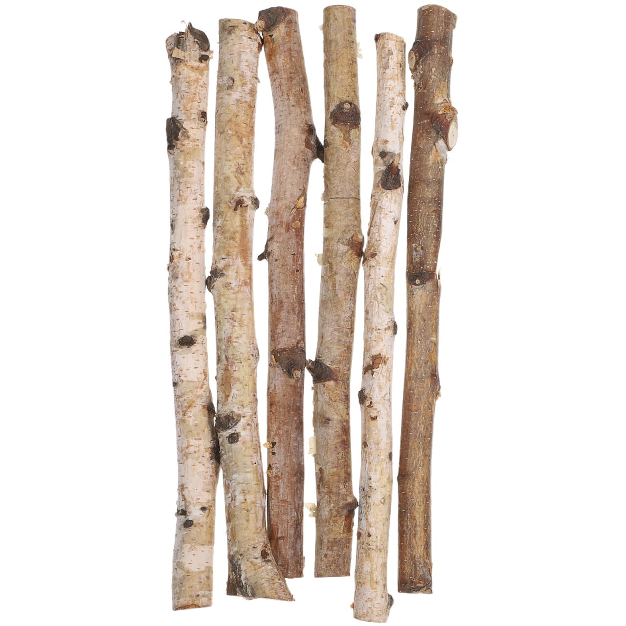 Bâtons de bois de bouleau naturel de 30 cm lot de 6 branches séchées VILLCASE