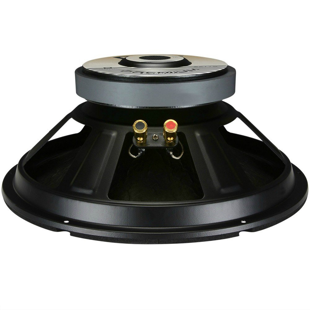 Pyle 1 WOOFER PPA10 PPA 10 Altavoz 25,00 cm 250 mm 10" diametro 300 vatios rms y 600 vatios MAX impedancia 8 ohmios para Fiestas casa, 1 Pieza