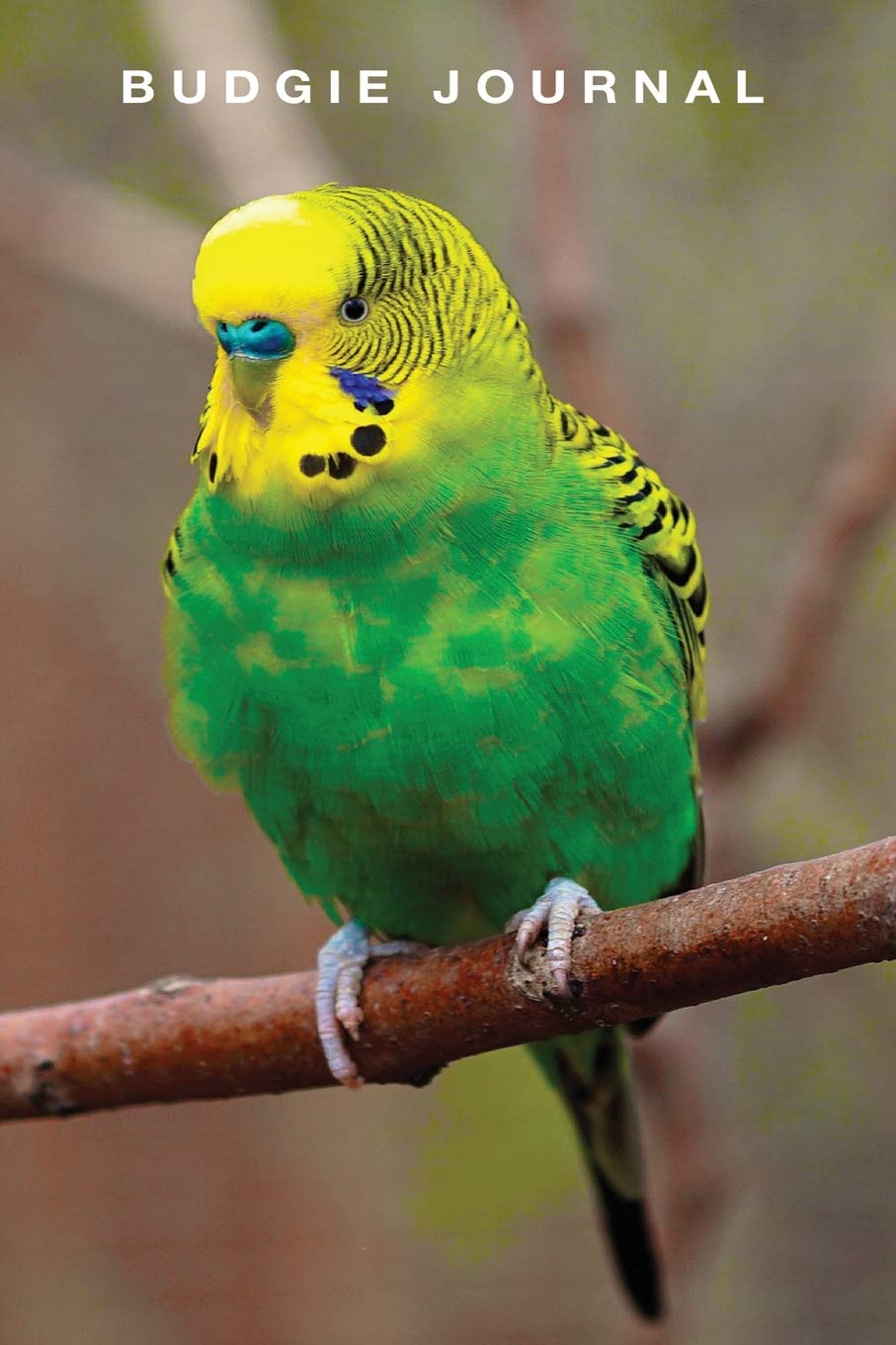 Budgie Journal (Budgerigar Parakeet Notebook Lined Journaling Bird Log Book)