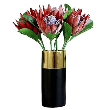 Amazon｜Tinsow 人工プロテア Cynaroides フラワー