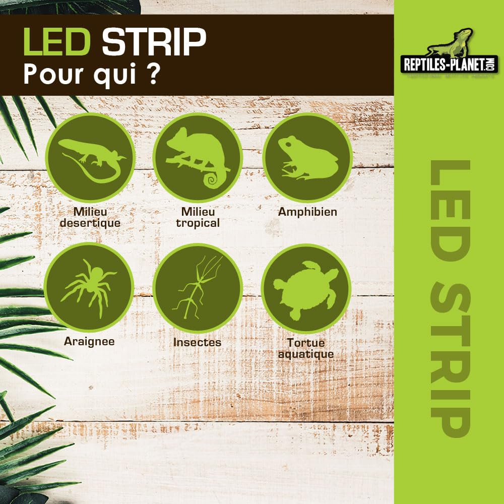 Reptiles Planet - Led Strip - Bandeau Led Multicolore pour Terrarium - 26 X 3 X 2 cm
