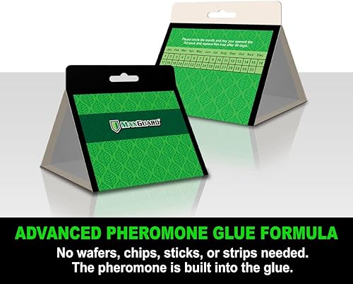 Miniatura 2 de Maxguard Trampas para polillas de despensa (paquete de 8) con feromonas extra fuertes, trampa de pegamento adhesivo no tóxico para polillas de