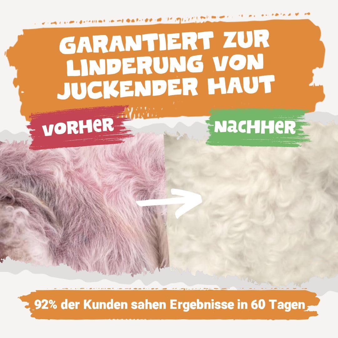 Pets Purest Lachsöl für Hunde & Katzen 1000ml – Reines Norwegisches Lachsöl mit Omega 3-6-9 & Vitamin E – Unterstützt Haut, Fell, Gelenke & Immunsystem – 100% Natürlich