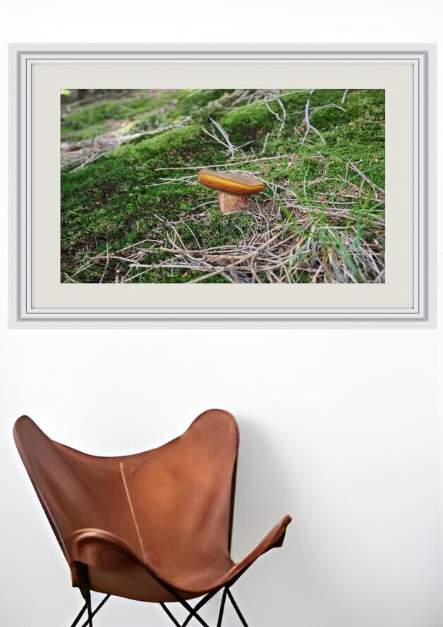 JVERF - JZZJ24860 Mushrooms Nature Penny bun Moss| Self-Adhesive