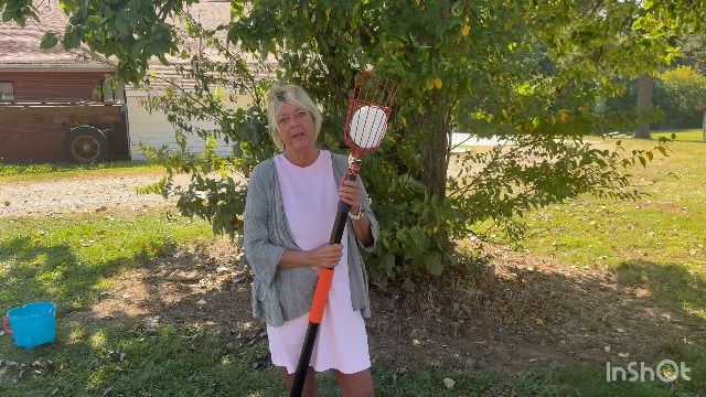 Amazon.com : SISIUPASSIE 26FT Reach Fruit Picker, Apple Picker
