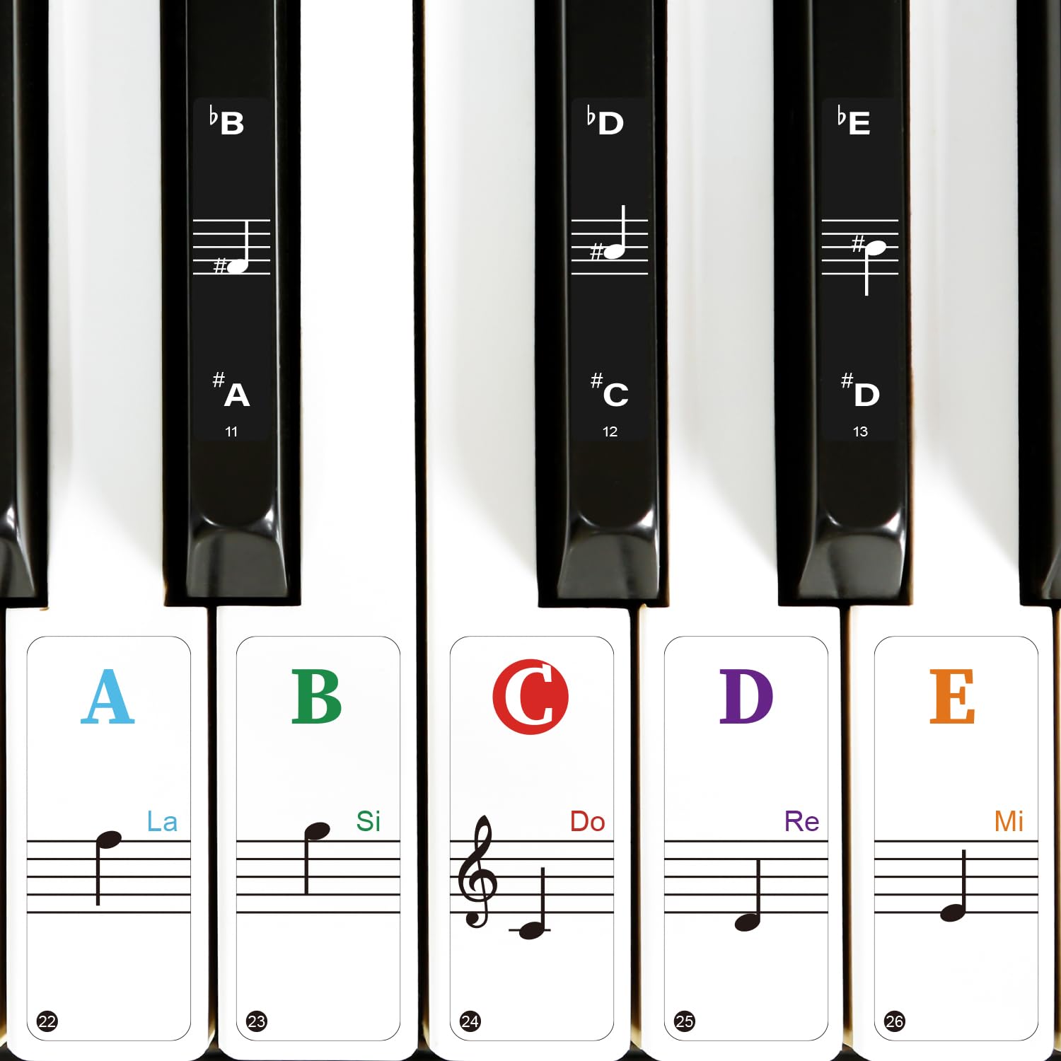 Snapklik.com : Colorful Keyboard Stickers - Removable Note Labels For ...