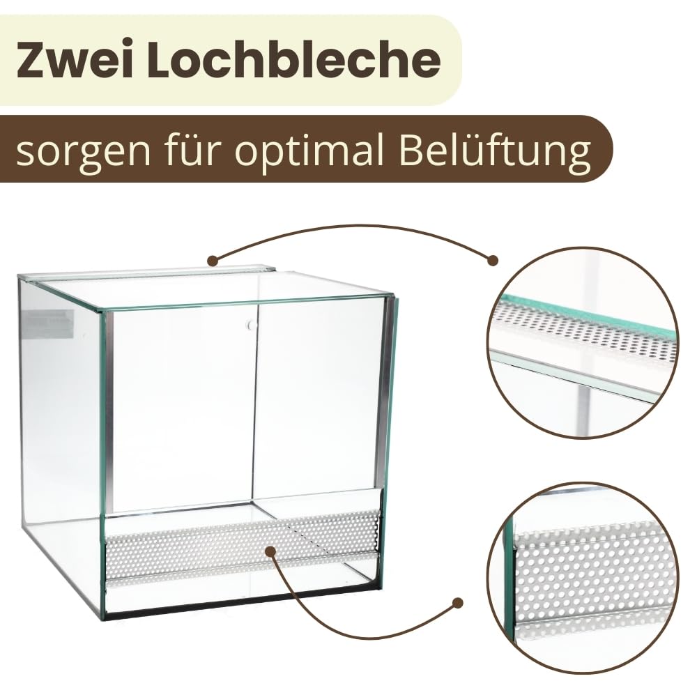 Terrarium 30x30x30 cm Schnecken Spinnen Amphibien Glas Terrarium Mit Belüftung Pflanzen Reptilienbecken Mit Falltür Glasterrarium 30 Klein