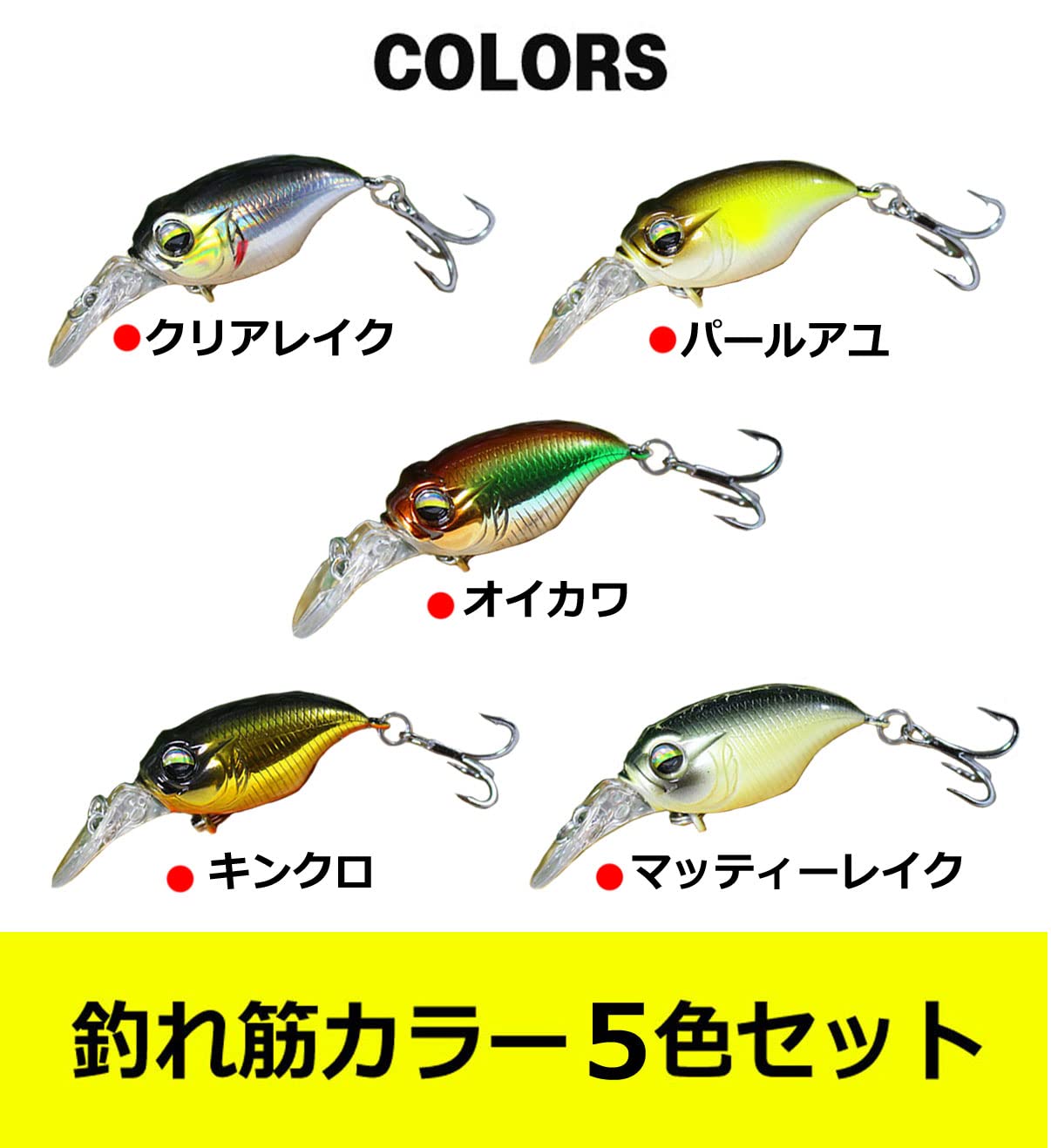 シャロークランク25個セット 【公式通販】