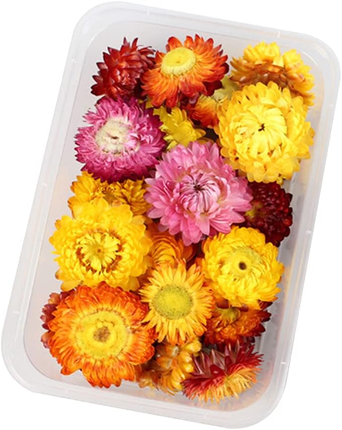 Comeyer乾燥押し花の葉樹脂用の天然乾燥花複数の本物の花