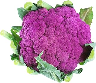 Cauliflower Purple Seeds 100+(Brassica Oleracea) Organic Premium Vegetables Easy to Grow Seeds for Planting Garden Outdoor