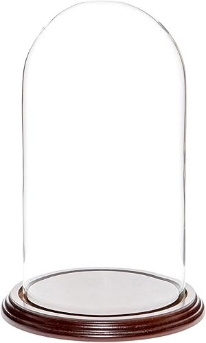Miniatura 6 de Plymor Cúpula de cristal de 5.5" x 10" (base de chapa de roble)