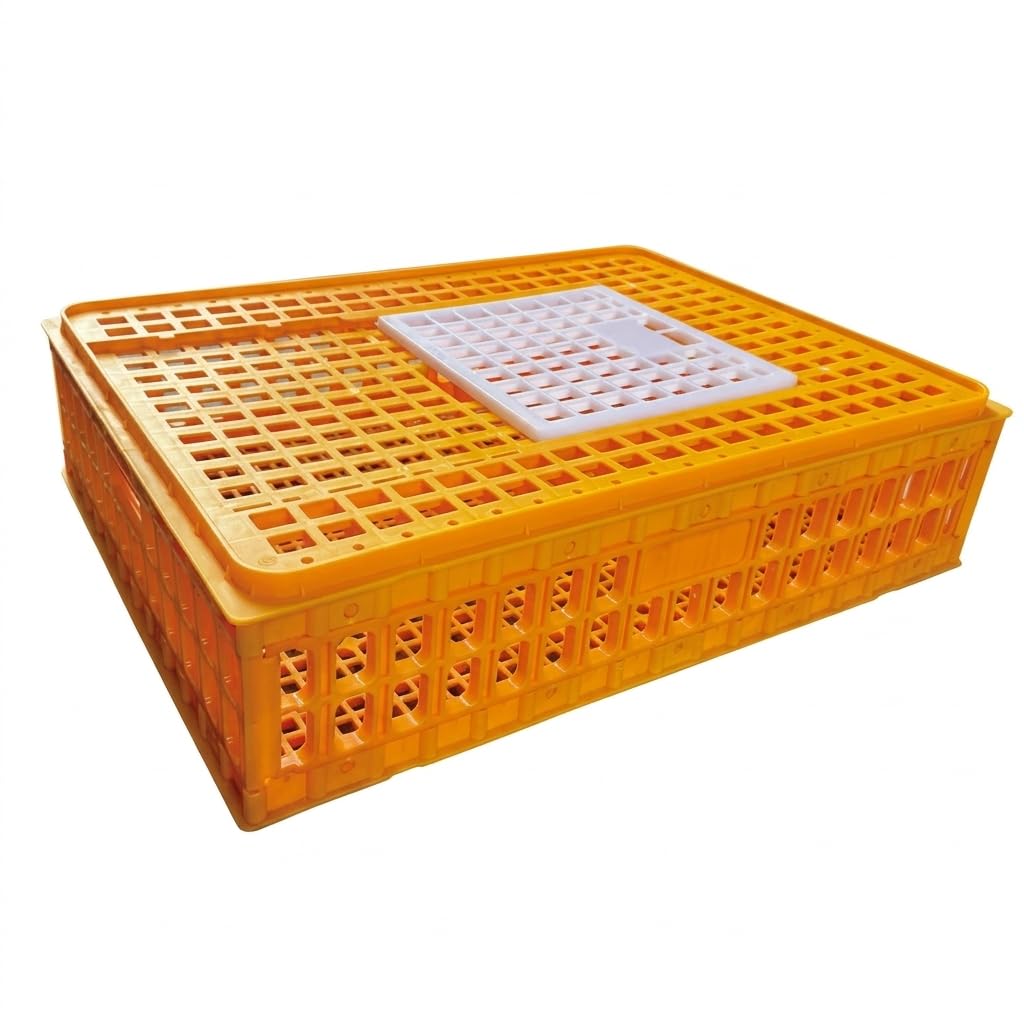 Jaula Transporte para Aves y Conejos, Transportín Plástico Robusto para un Viaje Sereno Pollos, s, s, Amarillo