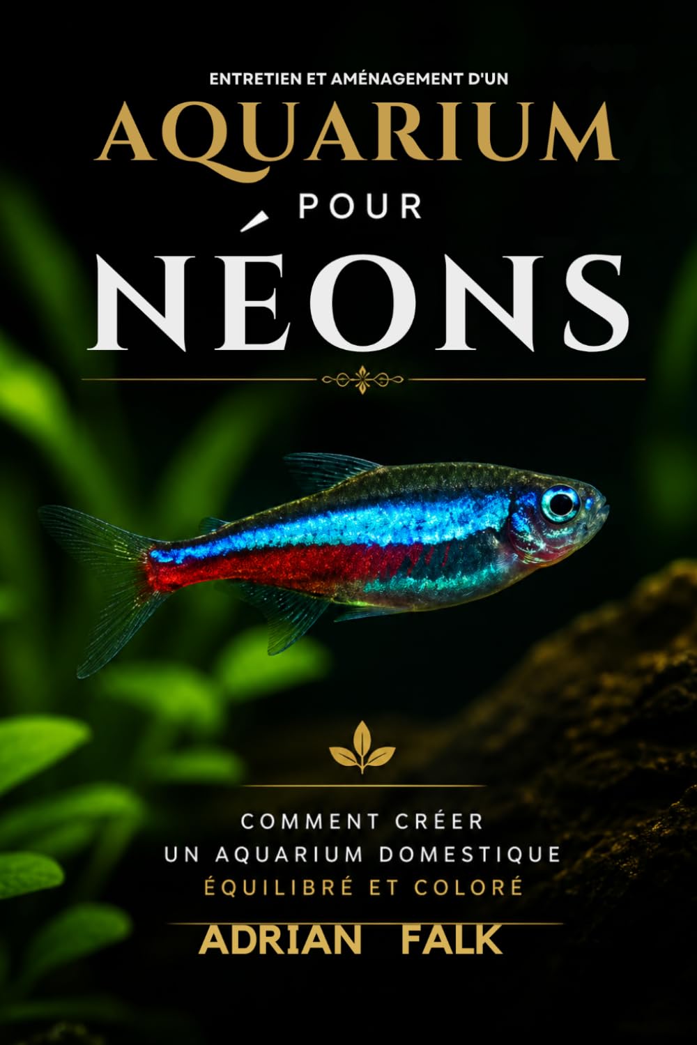 Entretien et aménagement d'un aquarium pour néons: Comment créer un aquarium domestique équilibré et coloré