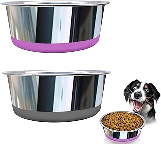 Decyam Dog Bowls, Stainless Steel Pet Bowl With Non-slip Sil