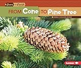 From Cone to Pine Tree (Start...