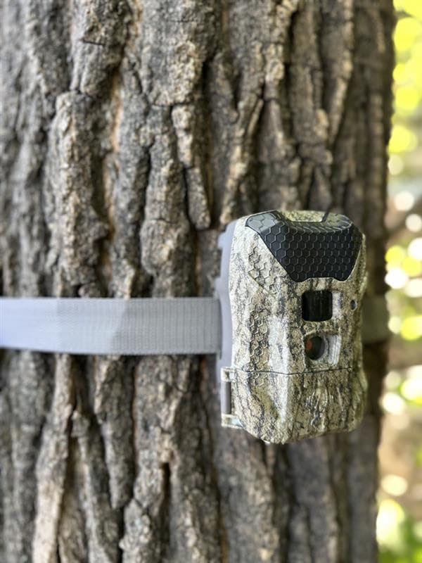 Caméra de chasse Wildgame Innovations Ridgeline Wraith MO Bottomlands - 2