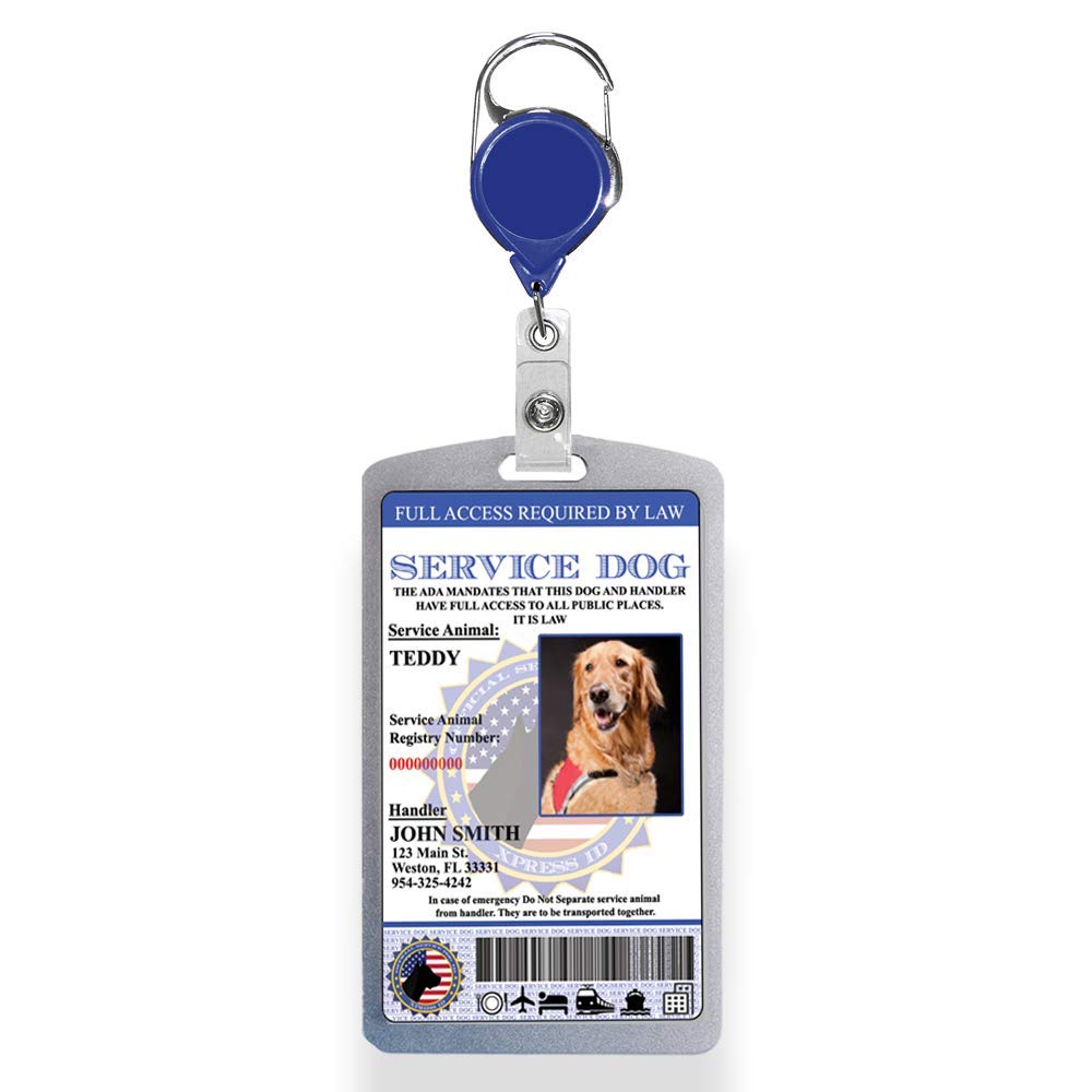 Amazon.com : XpressID Custom Holographic Service Dog ID Card Plus Badge  Reel & Aluminum Badge Holder - Includes Registration to National Dog  Registry