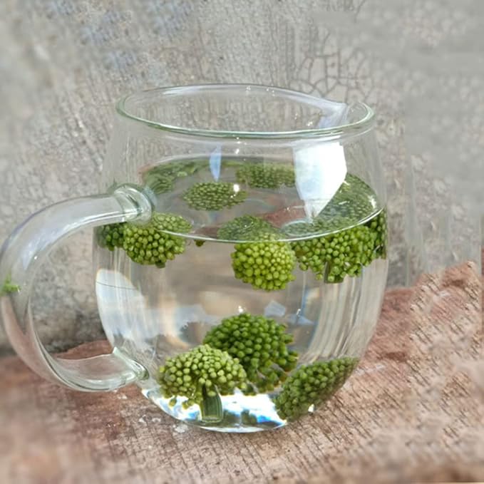 Té de Flores de Panax Notoginseng 250 g miniatura 3