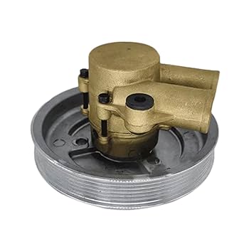 Amazon.com: Manioiity 21212794 Sea Water Pump 3852519