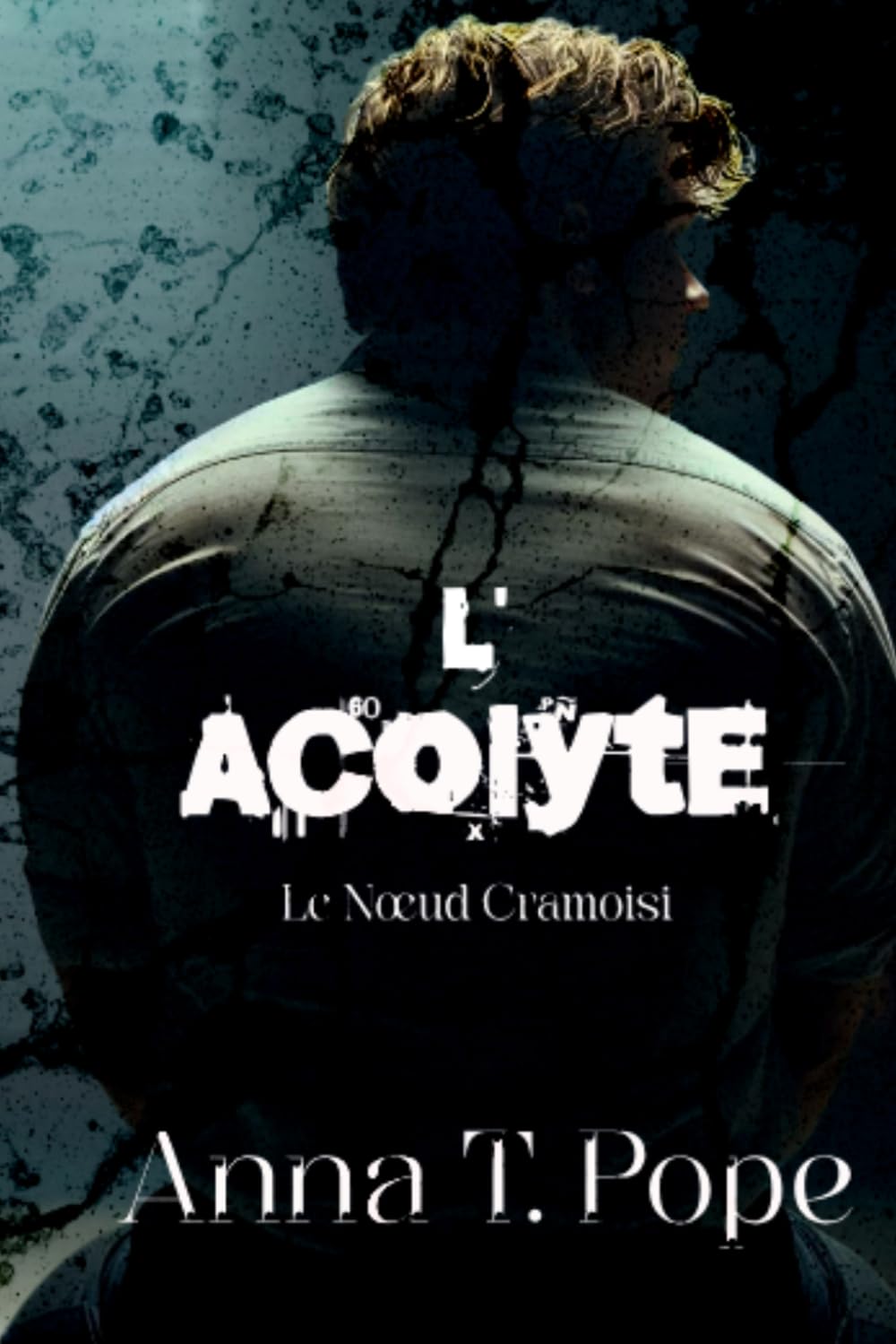 L’Acolyte: Une romance MM sombre, à combustion lente, avec une différence d'âge et une forte dose de BDSM. (Le Nœud Cramoisi)
