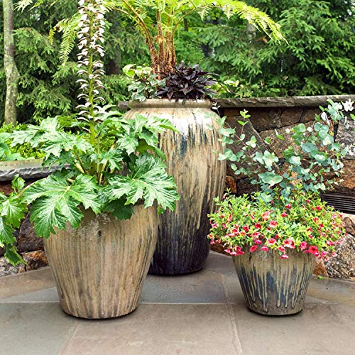 image for IMPRESA 20 Pack Pot Feet for Outdoor Planters - Invisible Plant Risers