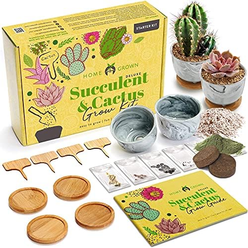 Deluxe Succulent & Cactus Seed Grow Kit Complete Indoor Cactus
