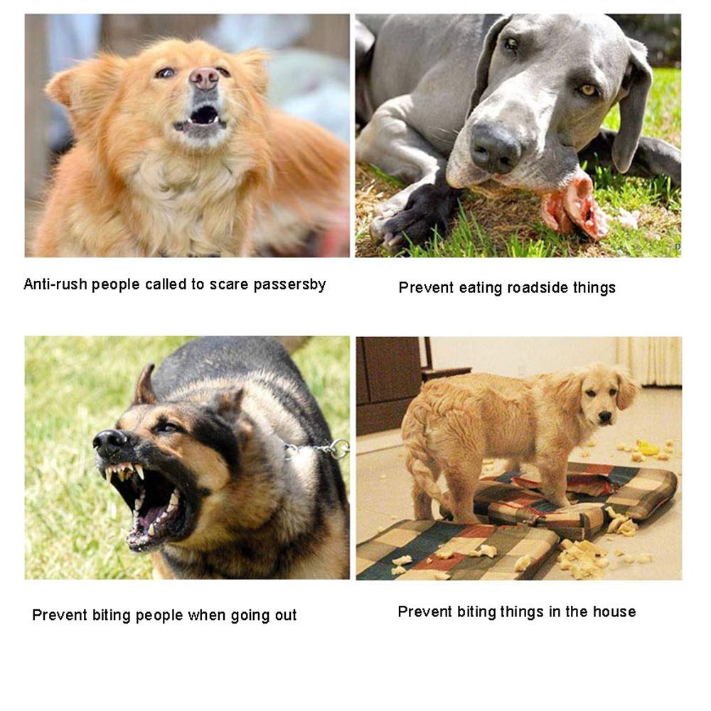 Bozal para Perros, bozal de Cuero para Perros, bozal de Entrenamiento Ajustable para Mascotas para Control de ladridos, prevención de mordeduras y prevención de masticaciones