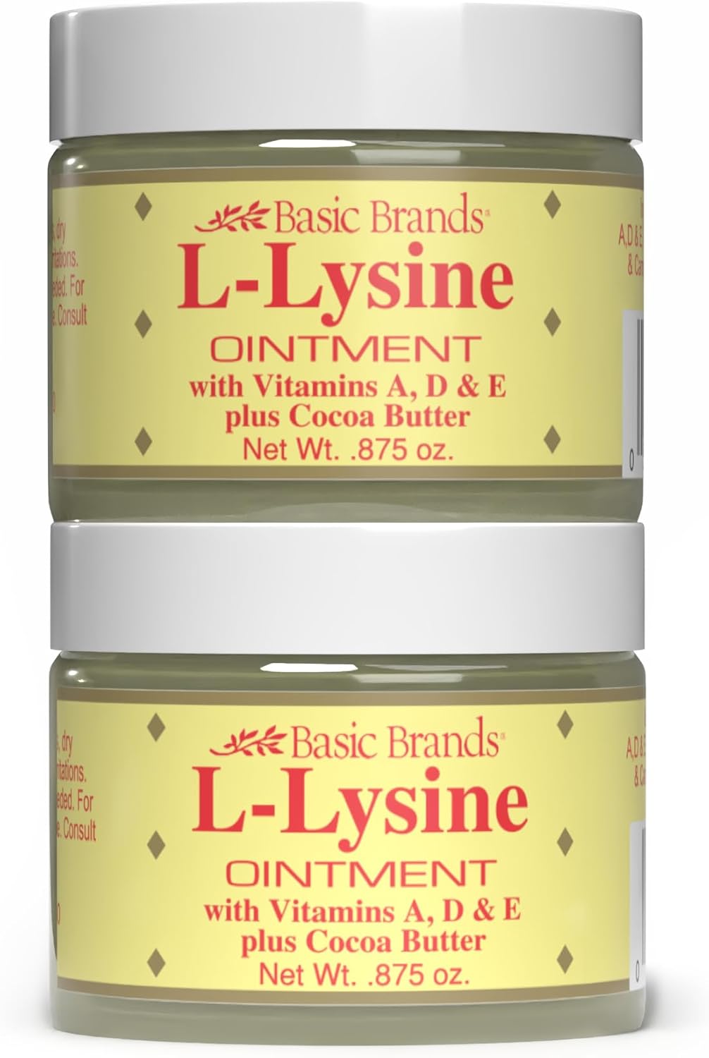Basic Brands - L-Lysine Ointment - 0.875 oz - Lysine Cold Sore Treatment and Blister Relief - Soothes Chapped Lips and Dry Skin – 2-Pack