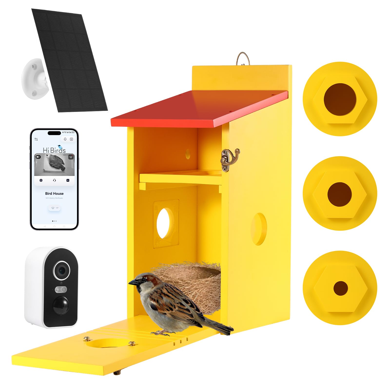 Casetta per uccelli con fotocamera da 5 MP, Wi-Fi, colorata per nido, resistente alle intemperie, notifica WiFi e app, registrazione video/foto e rilevamento del movimento, osservazione della vita