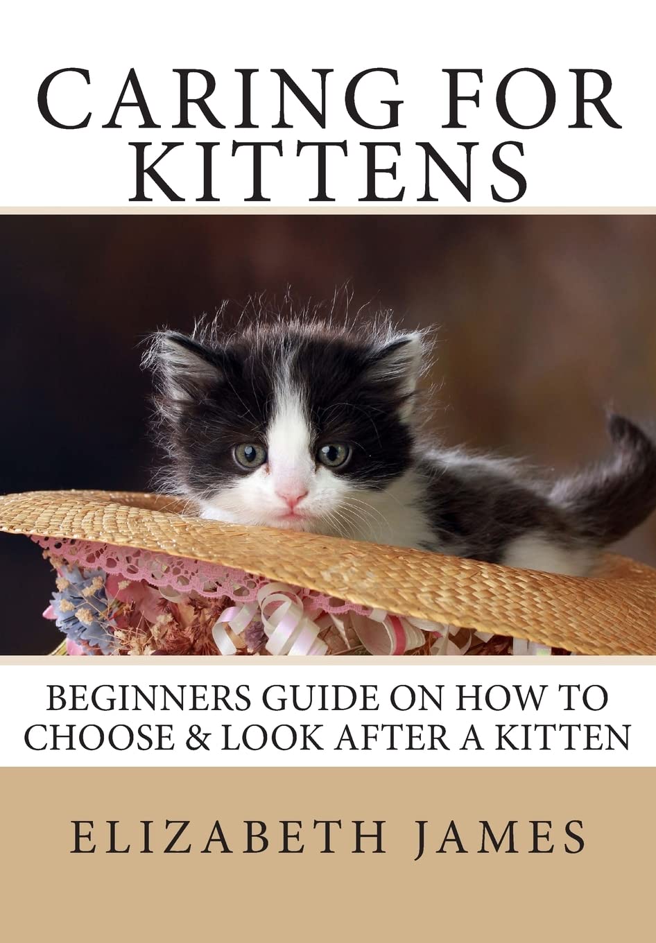 Caring for Kittens: Beginners Guide on How to look after a Kitten