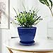 RooTrimmer 7.5/6.5/5.5/4.9/4.2/3.5 Inch Plant Pots with Saucers & Drain Holes - Indoor/Outdoor Flower Pots for Succulents, Herbs, Cactus - Modern Lightweight Durable Planter Set, Blue