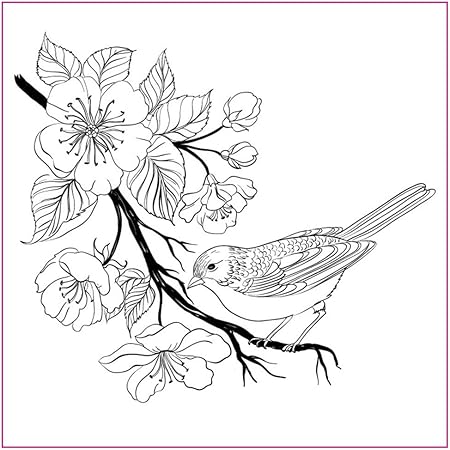 Chuxioner Fleur Oiseau Diy Tampon Silicone Transparent Pour La Fabrication De Cartes Decoration Scrapbooking Amazon Fr Cuisine Maison Chuxioner Fleur Oiseau Diy Tampon Silicone Transparent Pour La Fabrication De Cartes Decoration Scrapbooking Amazon Fr Cuisine Maison