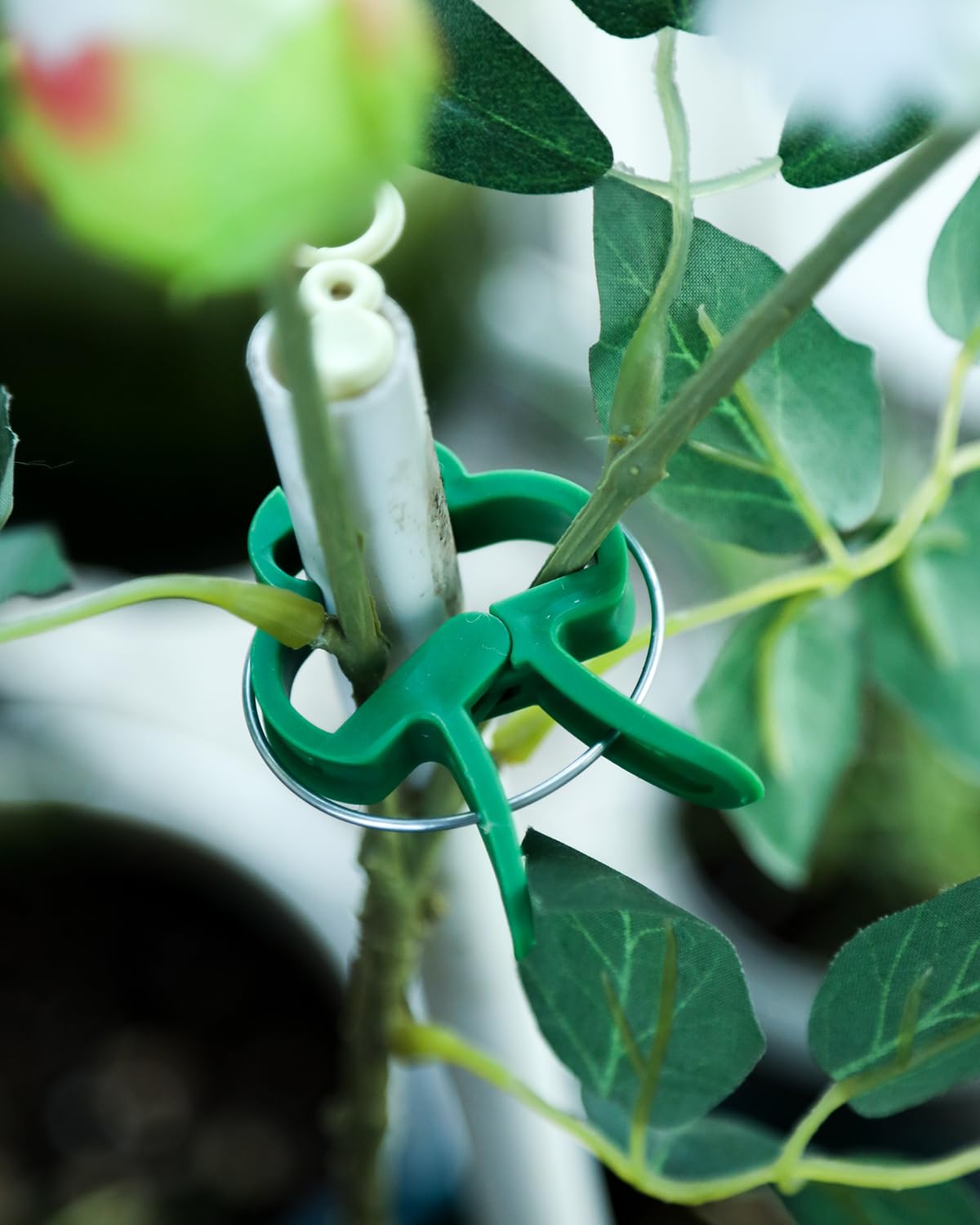 Yoaeyok 300 Pezzi Clip per Piante da Giardino Garden Trellis Plant Pomodoro Verdure Clip Plastica Clip per Piante Rampicanti Clip di Supporto per Il Fissaggio delle Piante Verdure Flower