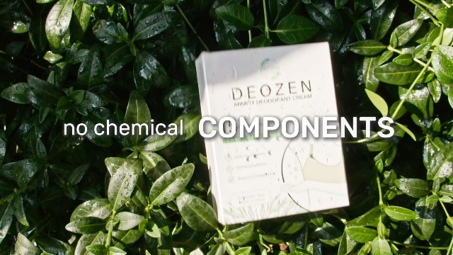 Amazon.com : DEOZEN Natural Aluminum-Free Deodorant Cream for Men